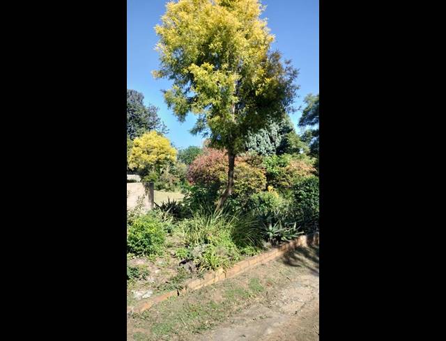 6 BEDROOM HOUSE FOR SALE IN FERNDALE